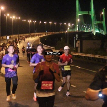 Runner Photo 2731269