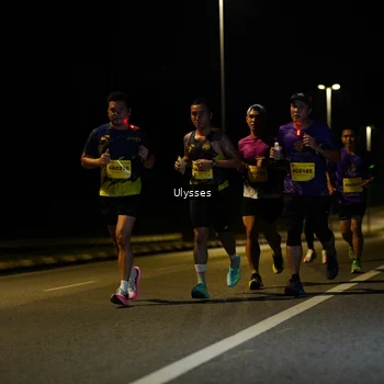 Runner Photo 2731586