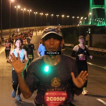 Runner Photo 2731638