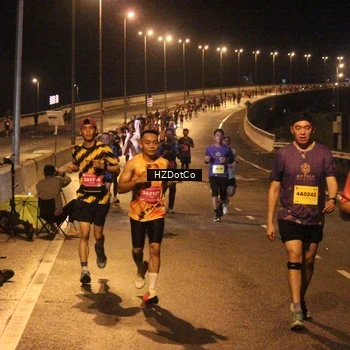 Runner Photo 2731889