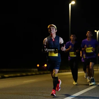 Runner Photo 2732008