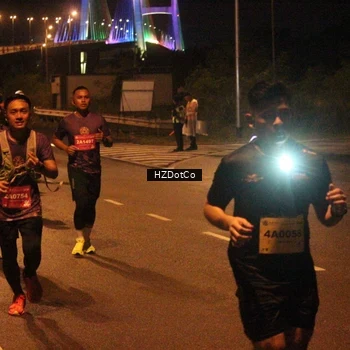 Runner Photo 2732275
