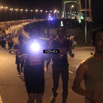 Runner Photo 2732545