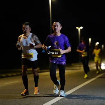 Runner Photo 2733012