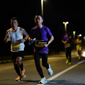 Runner Photo 2733031