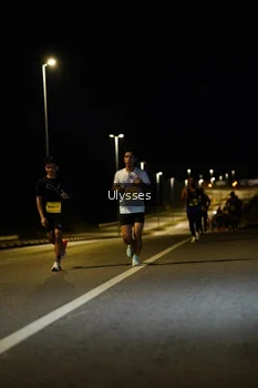Runner Photo 2733296