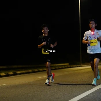 Runner Photo 2733333
