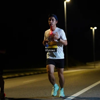 Runner Photo 2733372