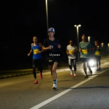 Runner Photo 2735374