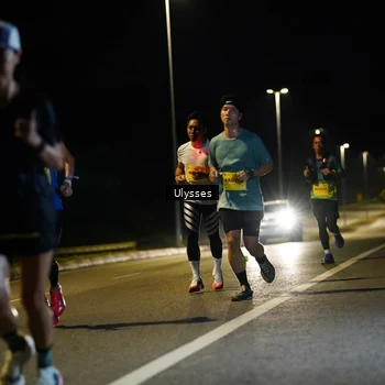 Runner Photo 2735434