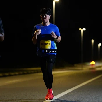 Runner Photo 2735847