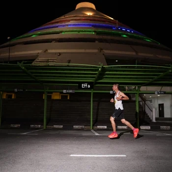 Runner Photo 2737041