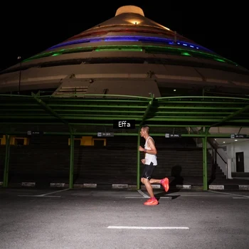 Runner Photo 2737044