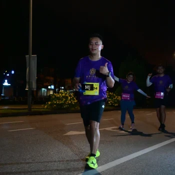 Runner Photo 2737067