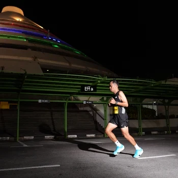 Runner Photo 2737191