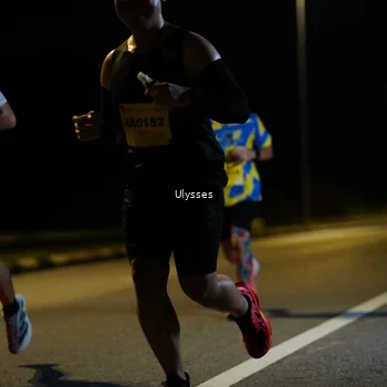 Runner Photo 2737241