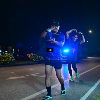 Runner Photo 2737250