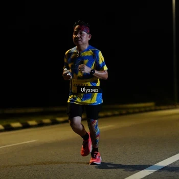 Runner Photo 2737264