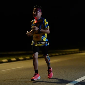 Runner Photo 2737270