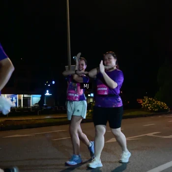 Runner Photo 2737285