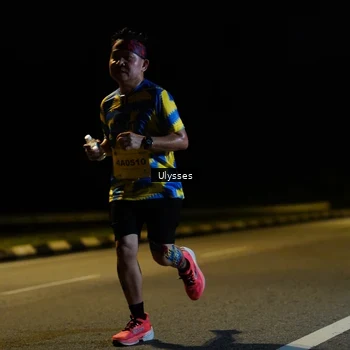 Runner Photo 2737287