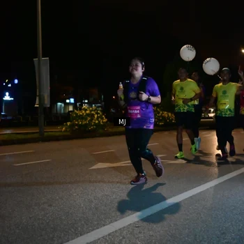 Runner Photo 2737659