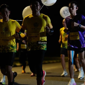 Runner Photo 2737939
