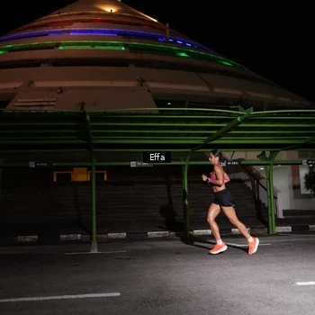 Runner Photo 2738032
