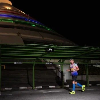 Runner Photo 2738158