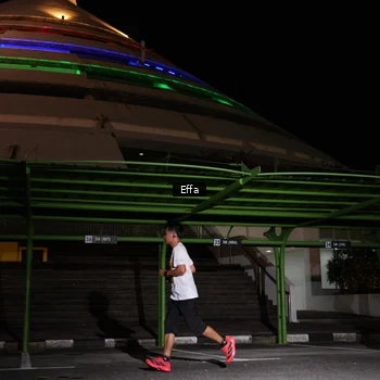 Runner Photo 2738179