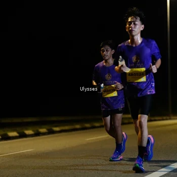 Runner Photo 2738230