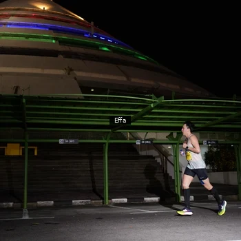 Runner Photo 2738238