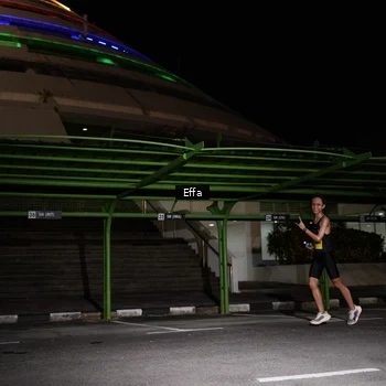 Runner Photo 2738267