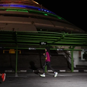 Runner Photo 2738317