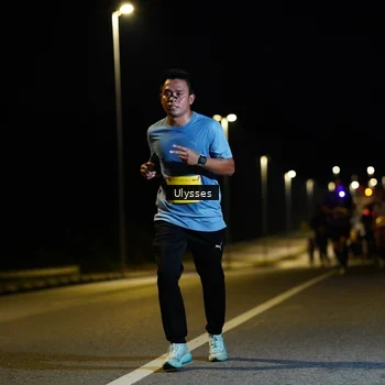 Runner Photo 2738640
