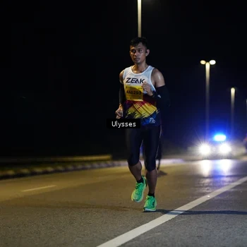 Runner Photo 2739180