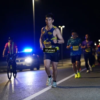 Runner Photo 2739245