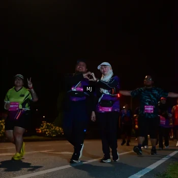 Runner Photo 2739462