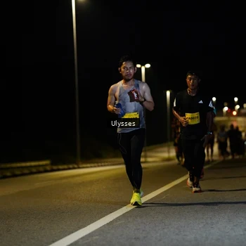 Runner Photo 2739481