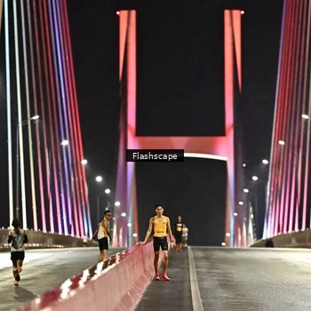Runner Photo 2739812