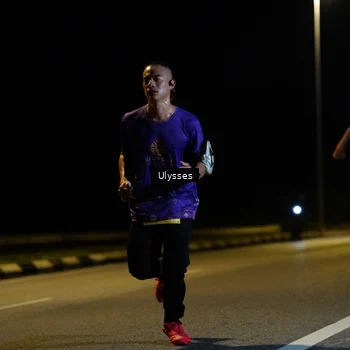 Runner Photo 2739996