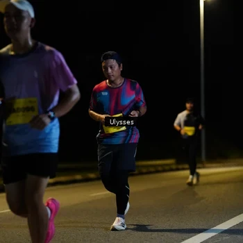 Runner Photo 2740662