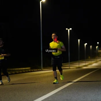 Runner Photo 2740760