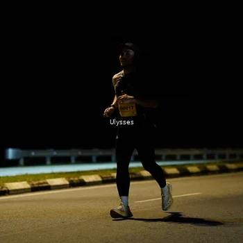 Runner Photo 2740807