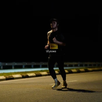 Runner Photo 2740819