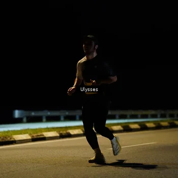 Runner Photo 2740828