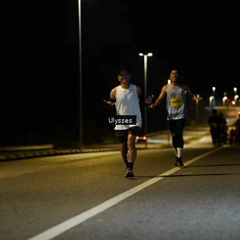 Runner Photo 2741179