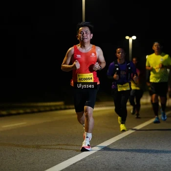 Runner Photo 2741552