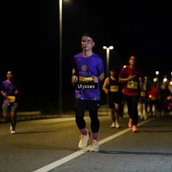 Runner Photo 2742726
