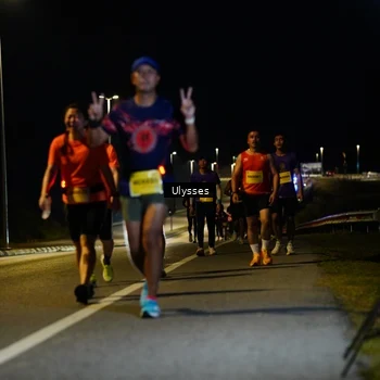 Runner Photo 2742845